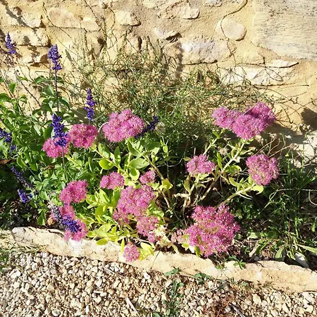 Le Logis Дом отдыха Витрак